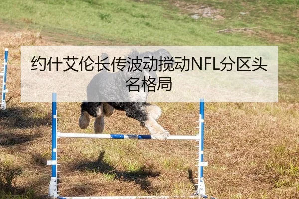 约什艾伦长传波动搅动NFL分区头名格局